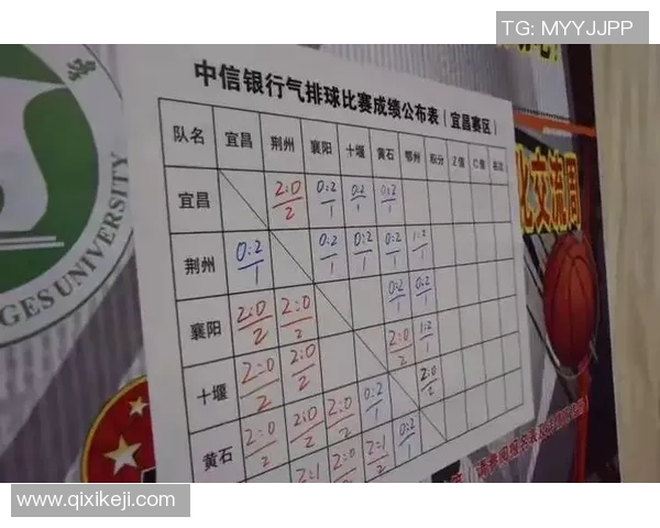 武汉排球队个人能力深度剖析与发展潜力探讨