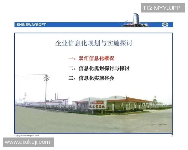 篮球与足球的翻译技巧与文化差异探讨及应用实例分析